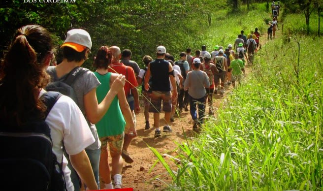 Grupo em caminhada por uma trilha na Mata Atlântica, durante o evento A Gosto de Caminhar