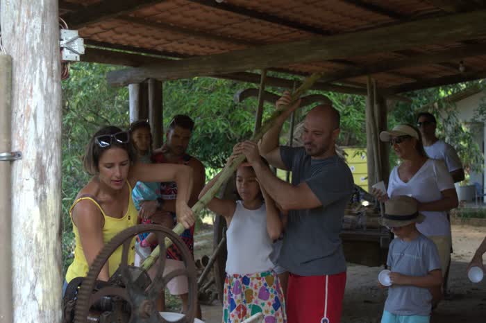 Hóspedes moendo cana na moenda do engenho da fazenda — adultos e crianças girando a manivela juntos