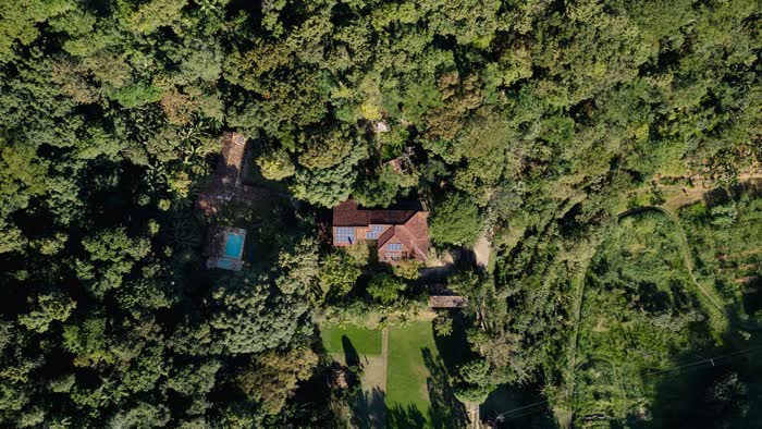 Vista aérea da Mata Atlântica preservada ao redor da fazenda