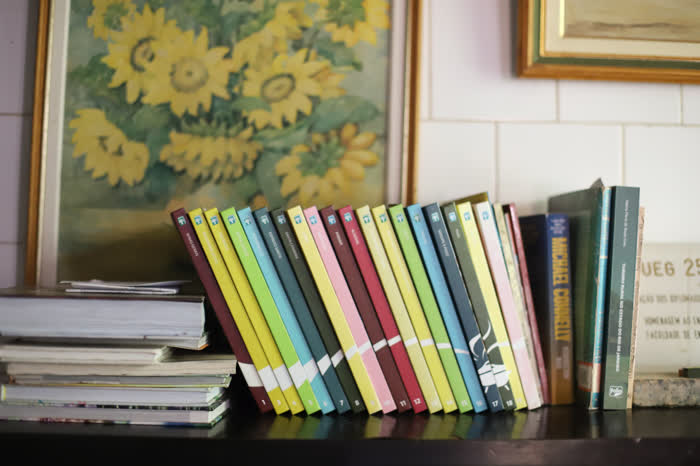 Prateleira com uma coleção de guias de viagem coloridos enfileirados e livros empilhados, sob um quadro de girassóis