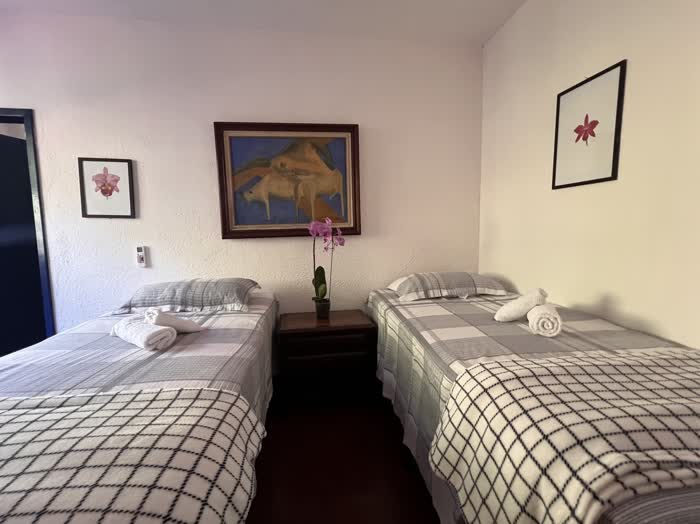 Quarto com duas camas de colcha xadrez cinza, uma orquídea sobre o criado-mudo e quadros de orquídea nas paredes