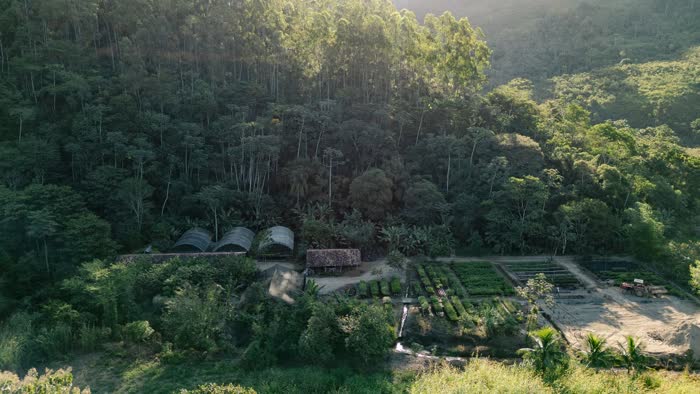 Vista aérea do viveiro de mudas da fazenda, no fundo de um vale cercado por encostas de mata